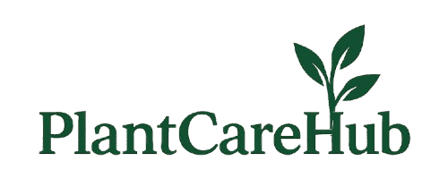 Plant Care Hub – Indoor Plant Care Guides & Easy Tips